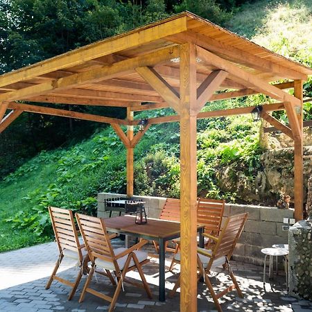 Oasis Mountain Villa 布拉索夫 外观 照片