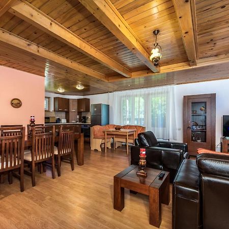 Oasis Mountain Villa 布拉索夫 外观 照片
