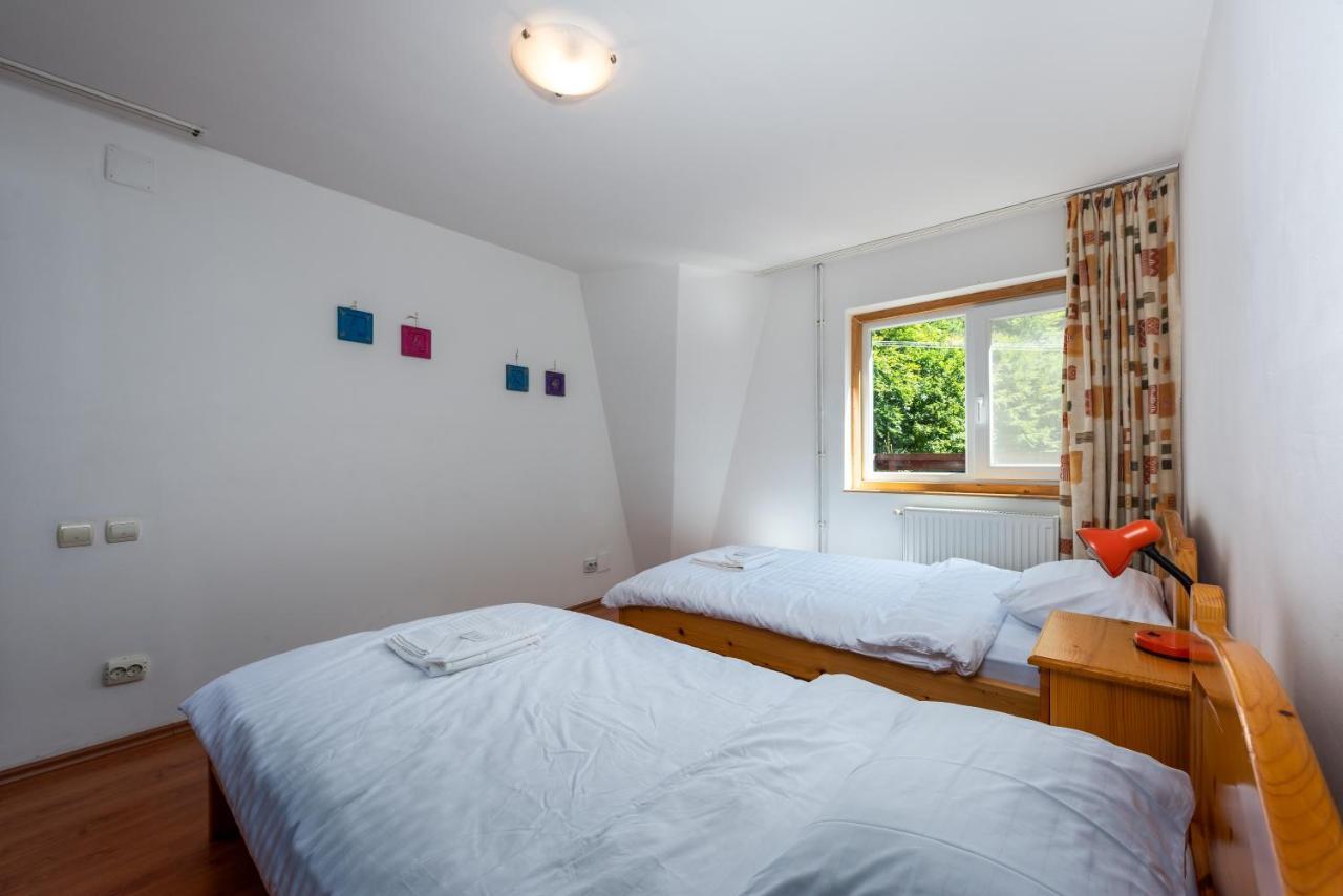 Oasis Mountain Villa 布拉索夫 外观 照片